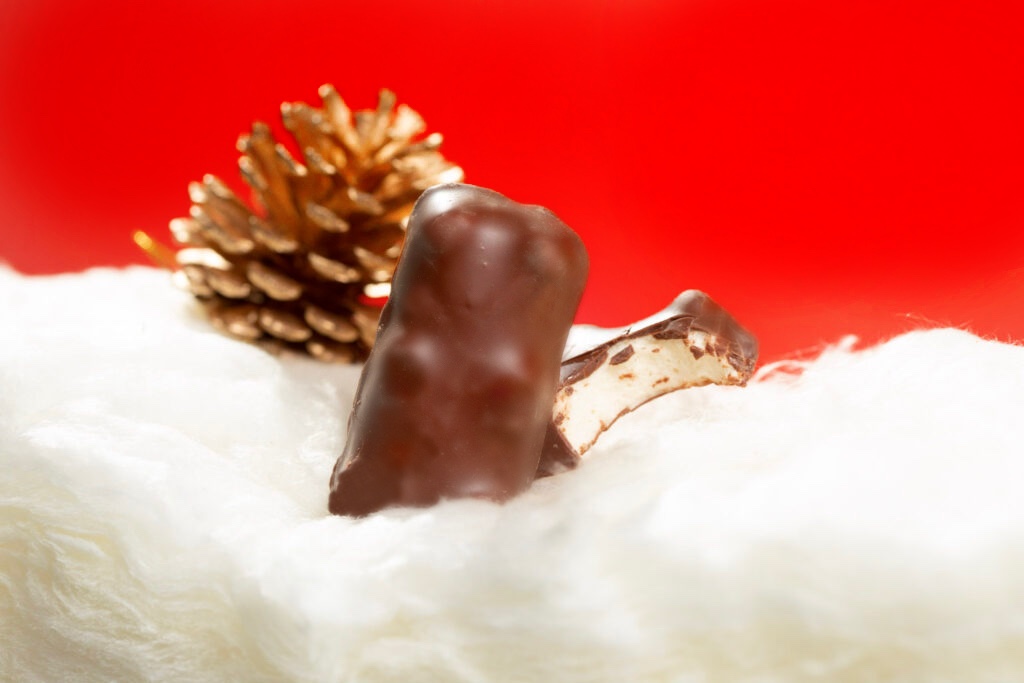 Choco-Grizzly-Noël format rectangulaire retouchée